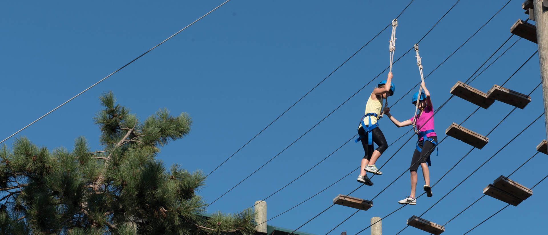 Students participate in ropes course