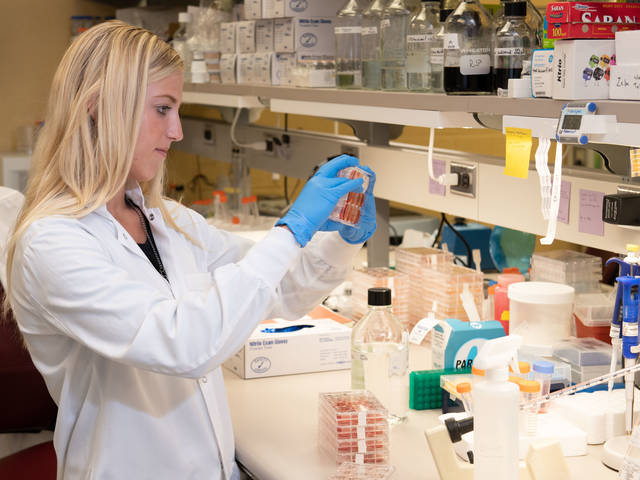 Biology student Megan Schluestner in Mayo lab at Rochester campus