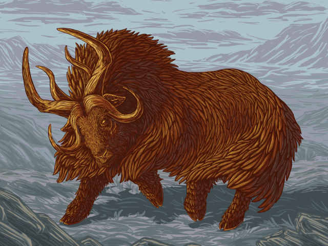 Digital painting of musk ox