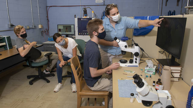 Students working on research this summer with Dr. Deidra Gerlach are using new high-end instrumentation secured through a grant from the National Science Foundation.
