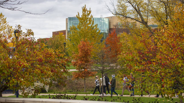 Campus mall in fall