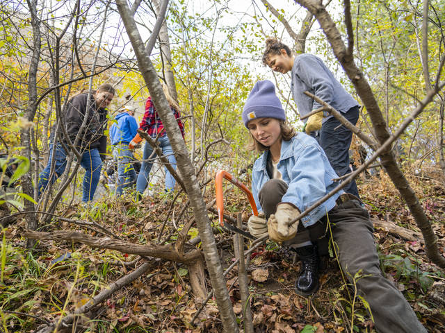 UW-Eau Claire students and faculty were among those working to preserve the biodiversity in Putnam Park.