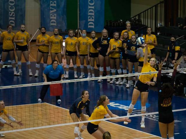 Blugold volleyball game in St. Louis