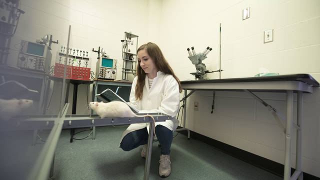 female student in neuroscience lab with white rat