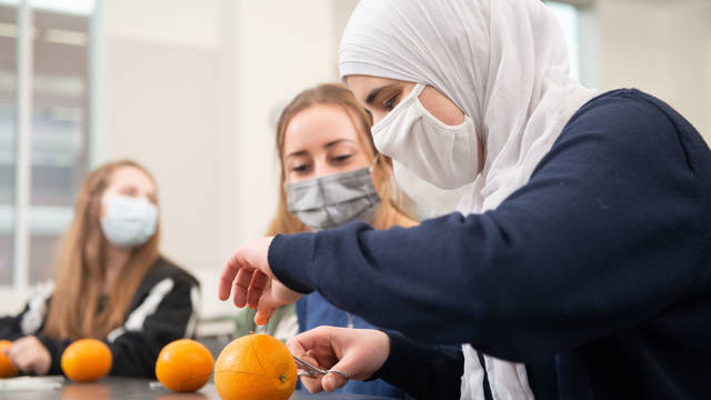 Pre-professional Health Club members practice suturing on oranges