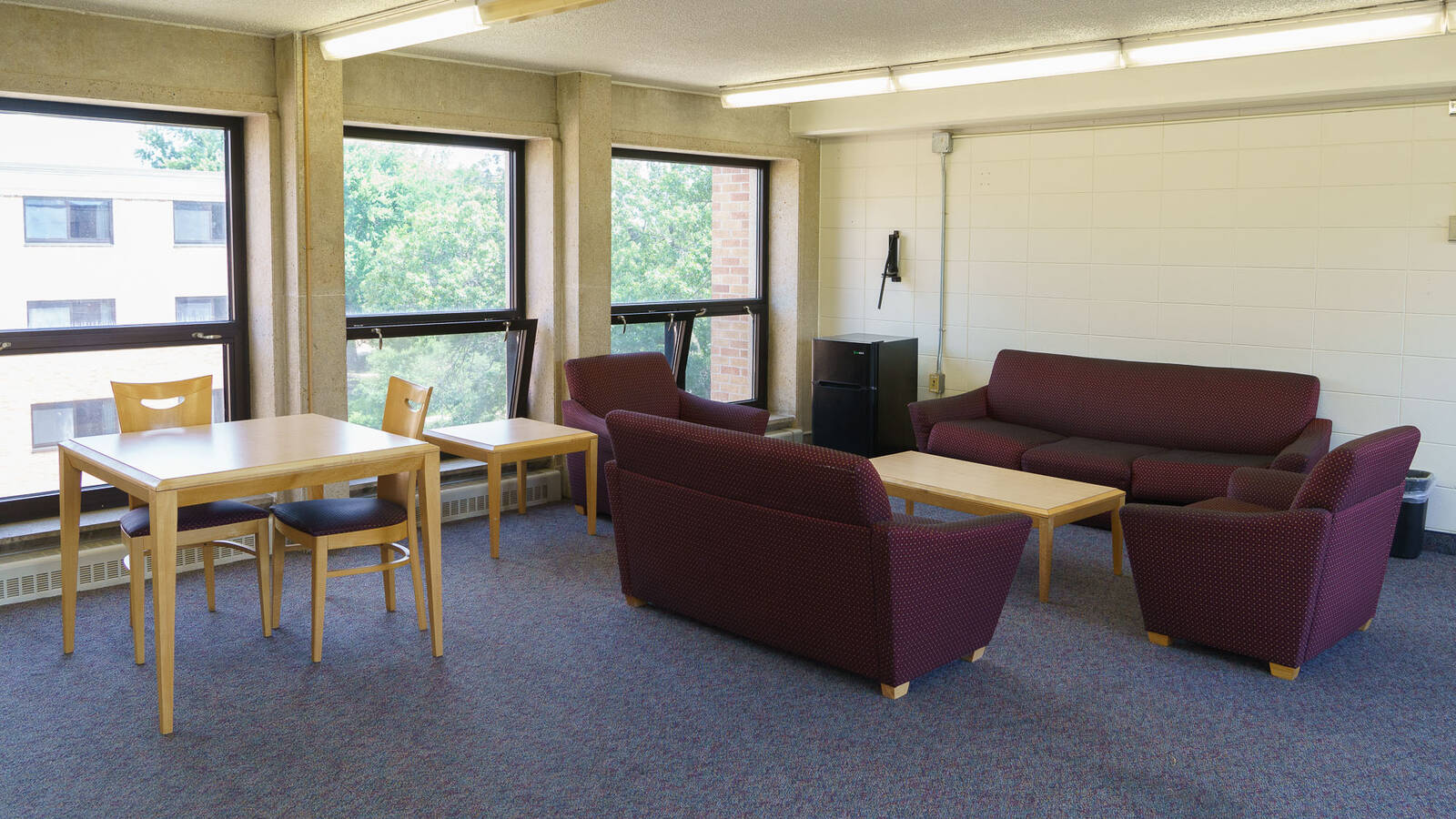 A common space with couches for lounging and tables for studying.