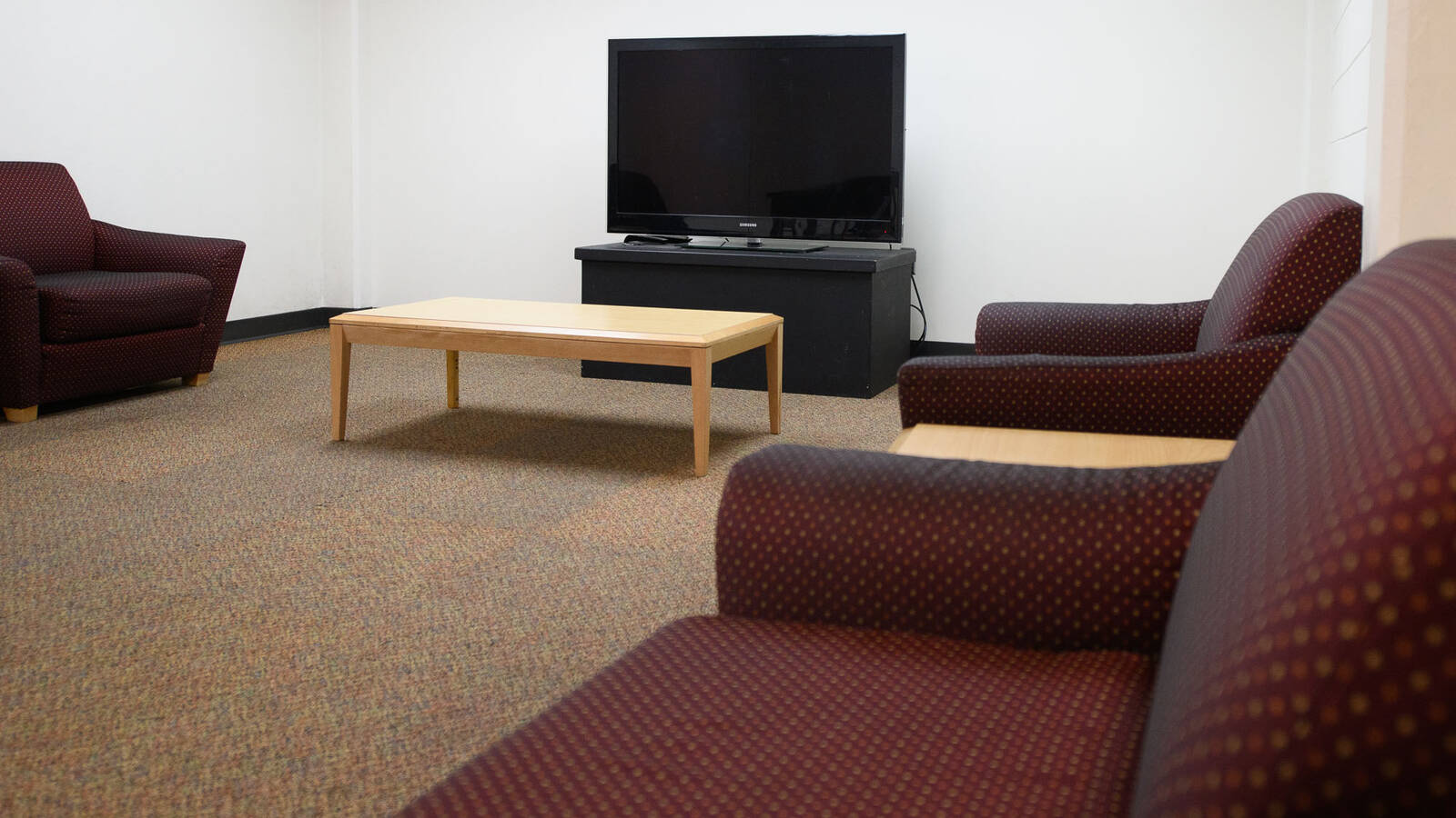 Common space in Bridgman Hall with couches and a TV.