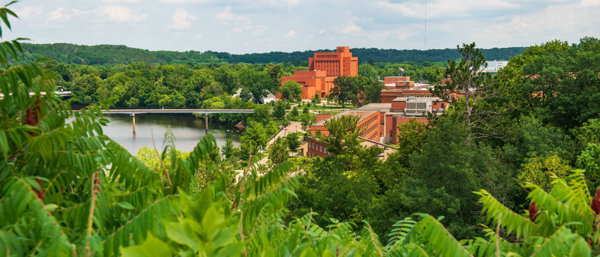 Tops of brick campus buildings surrounded by greenery, seen from a higher vantage point.