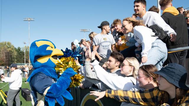 Blu high-fiving crowd at football game