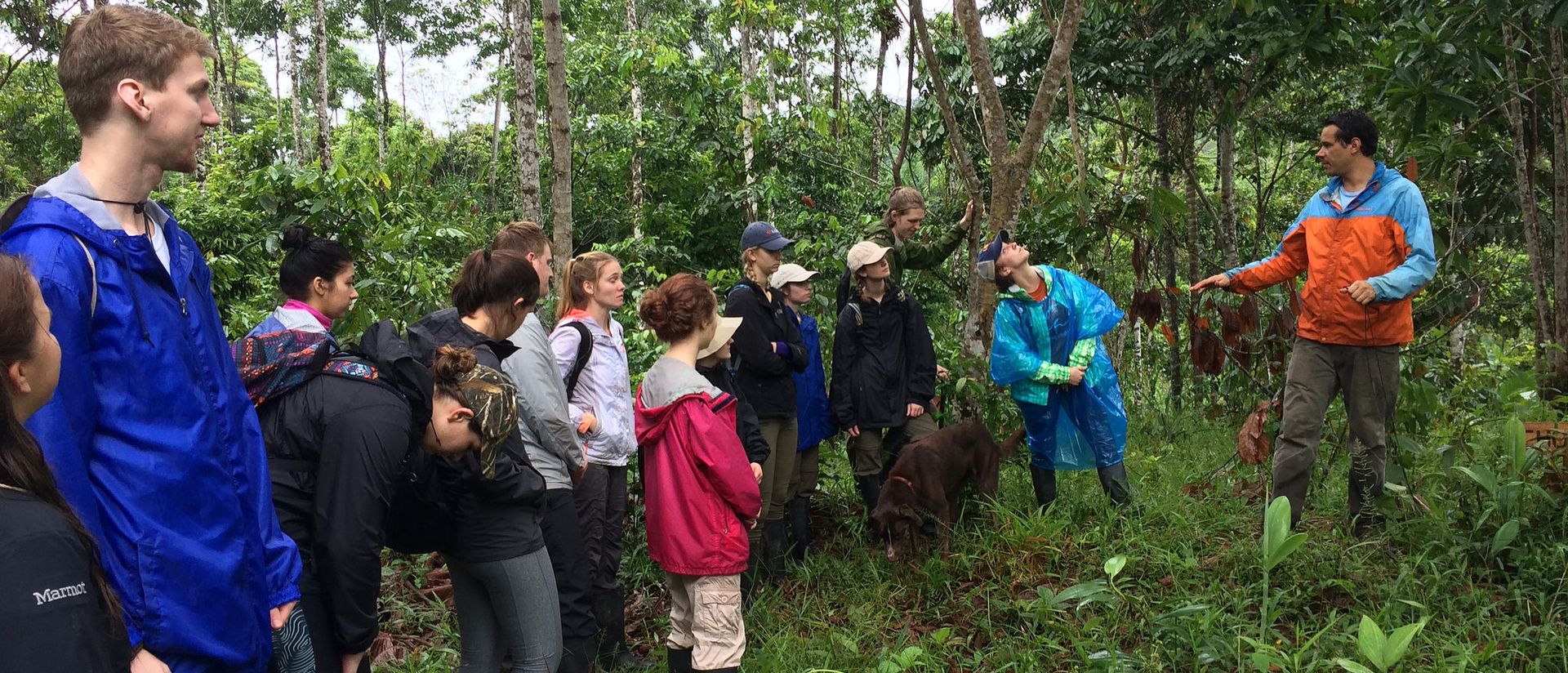 Blugolds hike through a family farm in the community of La Libertad, learning about the agroforestry system.