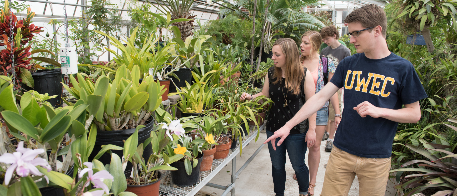 Students in the UWEC greenhouse