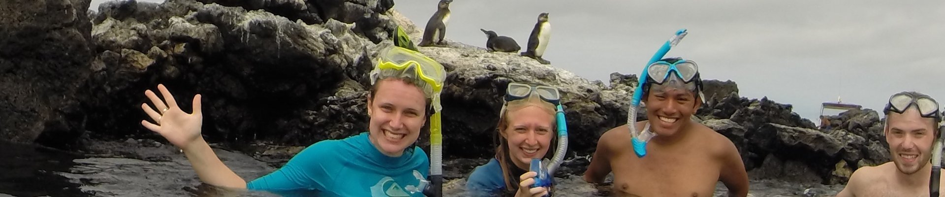Diving with penguins