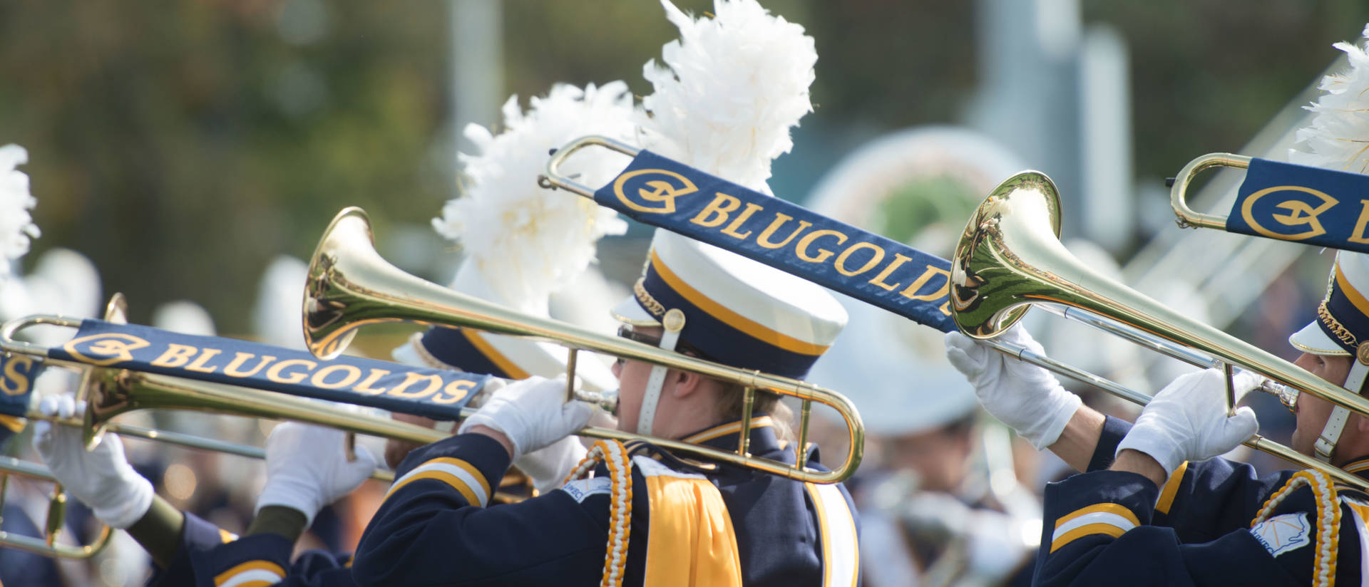 Blugold marching band on a fall day